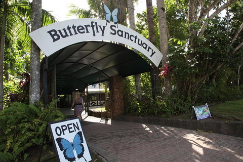 Kuranda Day Trip From Port Douglas Upgrade To Skyrail & Scenic Train Available - Restaurant Darwin 0
