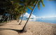 Kuranda Day Trip From Port Douglas Upgrade To Skyrail & Scenic Train Available - thumb 1