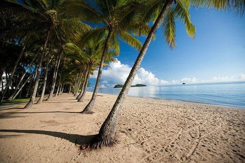 Kuranda Day Trip From Port Douglas Upgrade To Skyrail & Scenic Train Available - Restaurant Darwin 1
