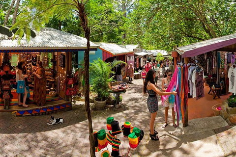 Kuranda Day Trip From Port Douglas Upgrade To Skyrail & Scenic Train Available - Restaurant Darwin 2