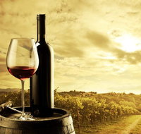 McLaren Vale Luxury Wine Tour - Restaurant Darwin