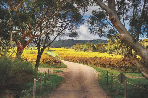 McLaren Vale Winery Small Group Tour With Wine Tasting And Lunch - Restaurant Darwin 1