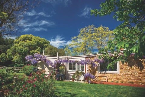 McLaren Vale Winery Small Group Tour With Wine Tasting And Lunch - Restaurant Darwin 2