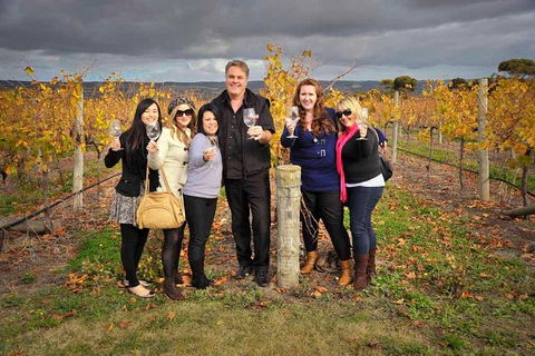 McLaren Vale Winery Small Group Tour With Wine Tasting And Lunch - Restaurant Darwin 3