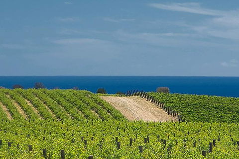 McLaren Vale Winery Small Group Tour With Wine Tasting And Lunch - Restaurant Darwin 4