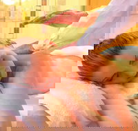 Massage relaxation Deep Tissue Whole Bodysports Etc.by Male Therapist - Restaurant Darwin