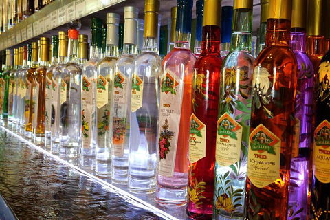 Bar & Brewery Tour - Restaurant Darwin 4