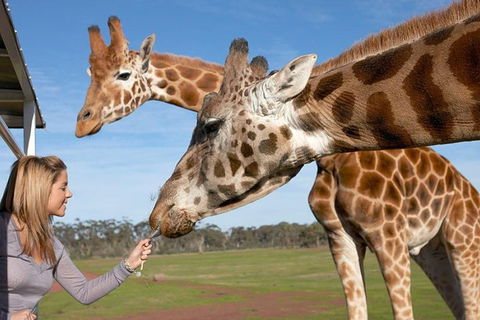 Melbourne City Card (2 Days): Visit Unlimited Attractions! - Restaurant Darwin 1