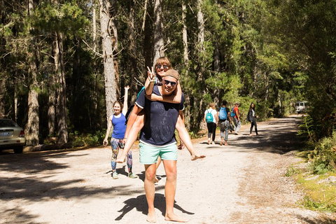 7-Day Best Of Tasmania Adventure Experience From Hobart (flexible Ticket) - Restaurant Darwin 5