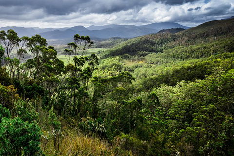 5-Day Lap Of Tasmania Tour From Hobart (flexible Ticket) - Restaurant Darwin 2