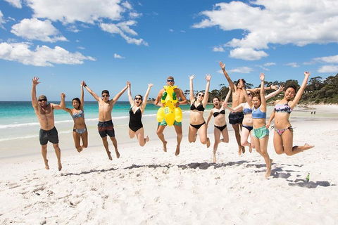 5-Day Lap Of Tasmania Tour From Hobart (flexible Ticket) - Restaurant Darwin 4