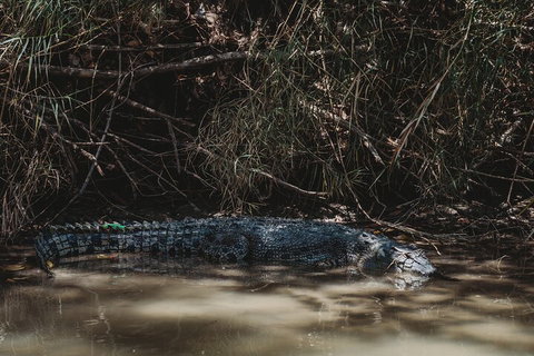 Kakadu Full-Day Tour From Darwin With Lunch - Restaurant Darwin 4
