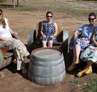 McLaren Vale Intimate Winery Tour by private Limo - Restaurant Darwin