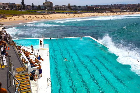 Private Sydney Half Day Tour Including Sydney Opera House And Bondi Beach - Restaurant Darwin 1