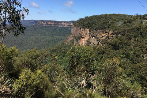 Full-Day Private Blue Mountains Tour With River Cruise - Restaurant Darwin 1