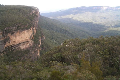 Full-Day Private Blue Mountains Tour With River Cruise - Restaurant Darwin 3