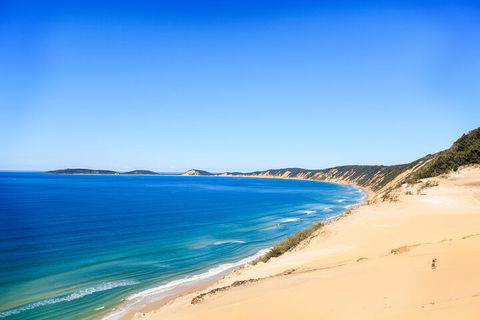 Kayak With Dolphins And 4WD Great Beach Drive Day Trip From Noosa - Restaurant Darwin 0