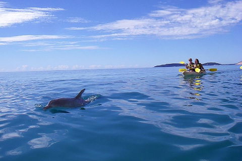 Kayak With Dolphins And 4WD Great Beach Drive Day Trip From Noosa - Restaurant Darwin 2