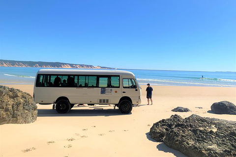 Kayak With Dolphins And 4WD Great Beach Drive Day Trip From Noosa - Restaurant Darwin 4
