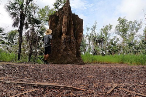 ETHICAL ADVENTURES - Litchfield Region, Max 10 Guests - Restaurant Darwin 3