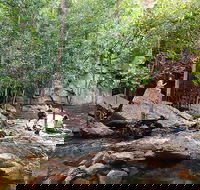 Ethical Adventures - Best in the WET - Litchfield / Kakadu 3 Day- max 10 guests - Restaurant Darwin
