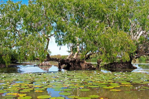 Ethical Adventures - Best In The WET - Litchfield / Kakadu 3 Day- Max 10 Guests - Restaurant Darwin 1