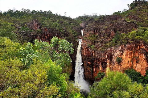 Ethical Adventures - Best In The WET - Litchfield / Kakadu 3 Day- Max 10 Guests - Restaurant Darwin 2