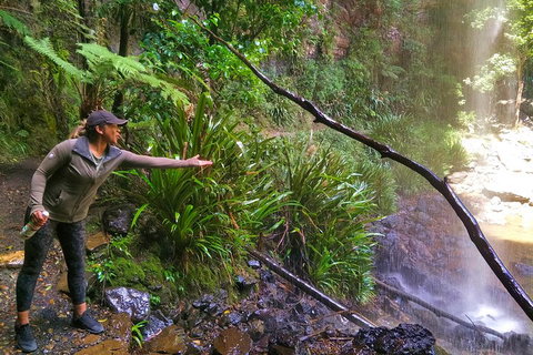 Rainforest & Waterfalls Extravaganza - Restaurant Darwin 4