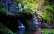 Rainforest & Waterfalls Extravaganza - thumb 5