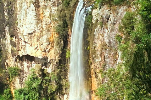 Natural Arch, Rainforest & Volcano Canyon - Private Half Day Tour - Restaurant Darwin 2
