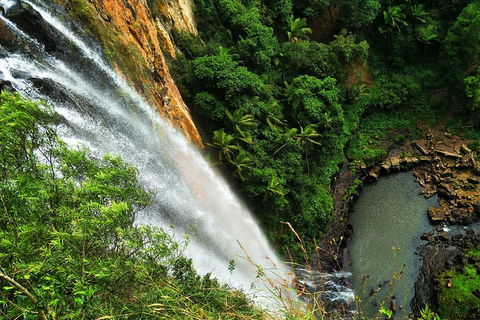 Natural Arch, Rainforest & Volcano Canyon - Private Half Day Tour - Restaurant Darwin 5