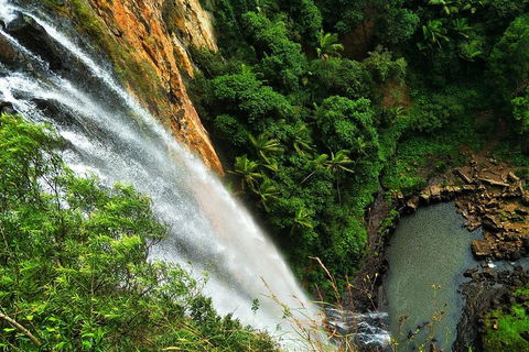 Private Tour - Rainforest & Waterfalls Extravaganza - Restaurant Darwin 2