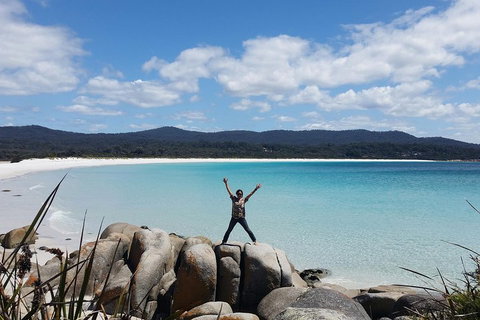 Tasmania 4 Day East Coast + Launceston - Restaurant Darwin 1
