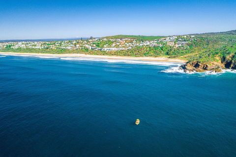 2-Hour Guided Whale Watching Tour At Noosa - Restaurant Darwin 4