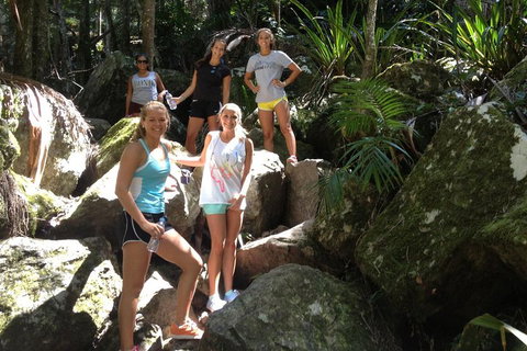 Byron Bay Hinterland Tour Including Rainforest Walk To Minyon Falls - Restaurant Darwin 3