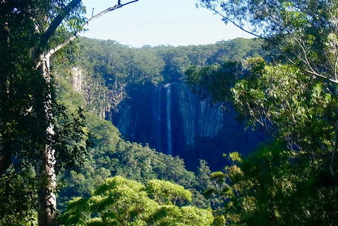 Byron Bay Hinterland Tour Including Rainforest Walk To Minyon Falls - Restaurant Darwin 4