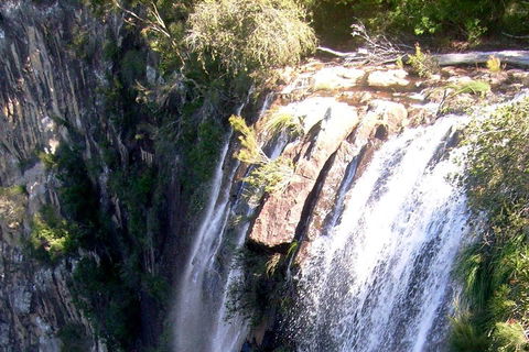 Byron Bay Combo: Hinterland Tour Including Minyon Falls And Kayaking With Dolphins - Restaurant Darwin 3