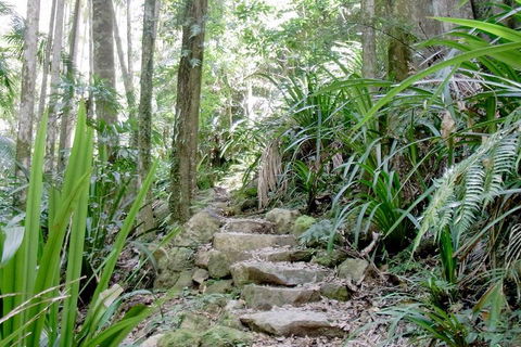 Byron Bay Combo: Hinterland Tour Including Minyon Falls And Kayaking With Dolphins - Restaurant Darwin 5
