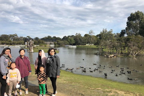 Phillip Island Penguins Private Tour - Restaurant Darwin 1