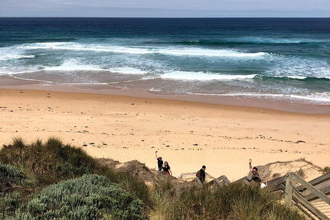 Phillip Island Penguins Private Tour - Restaurant Darwin 4