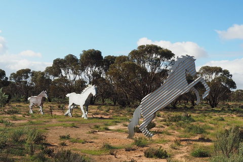 Wave Rock, Wild Flowers And Astro Photography - Restaurant Darwin 5
