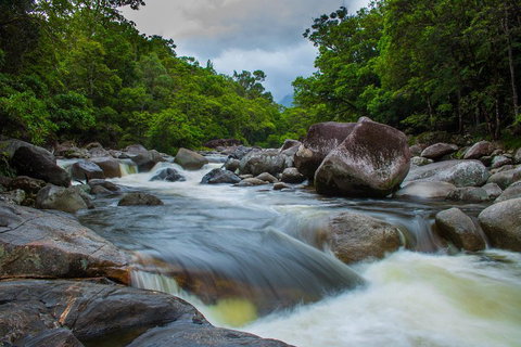 Cape Tribulation Day Tour - Restaurant Darwin 0