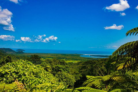 Cape Tribulation Day Tour - Restaurant Darwin 3