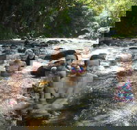 Daintree Rainforest Cape Tribulation Mossman Gorge Small-Group Day Tour - Restaurant Darwin