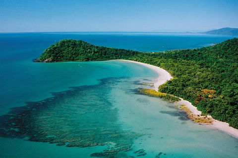 Daintree Rainforest, Cape Tribulation, Mossman Gorge Small-Group Day Tour - Restaurant Darwin 4