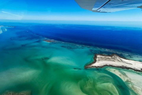 Wet Season Incredible Islands Tour - Horizontal Falls & Cygnet Bay Pearl Farm - Restaurant Darwin 4