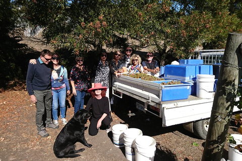 Valleys Of Vino Tour - Restaurant Darwin 1