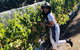 Valleys Of Vino Tour - thumb 3