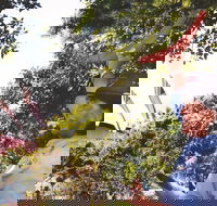 illi-Langi The Rocks Aboriginal Dreaming Tour - Restaurant Darwin