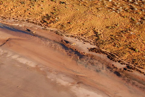 Scenic Flight: Lizard Safari - Restaurant Darwin 0